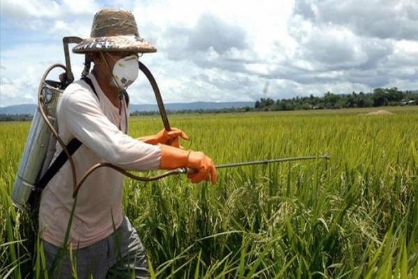 Bio enzyme products in chennai