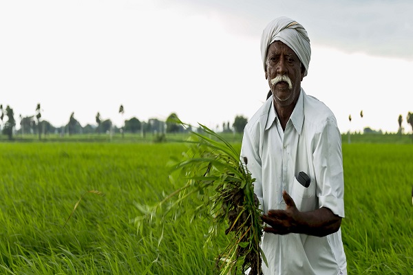 Bio enzyme products in chennai